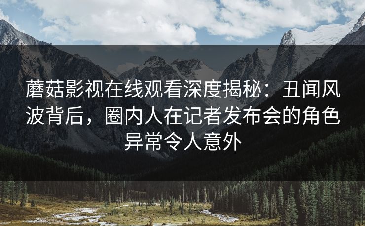 蘑菇影视在线观看深度揭秘：丑闻风波背后，圈内人在记者发布会的角色异常令人意外