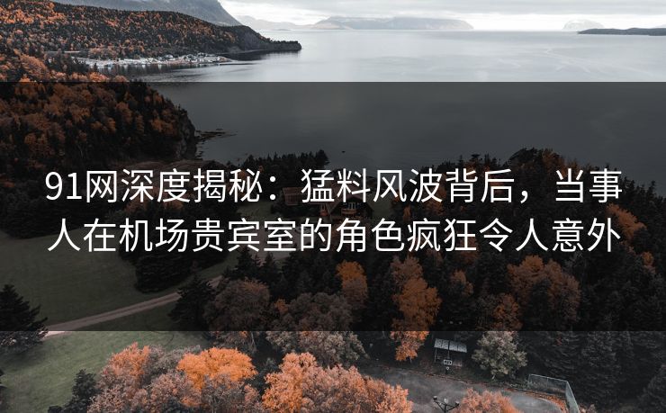 91网深度揭秘：猛料风波背后，当事人在机场贵宾室的角色疯狂令人意外