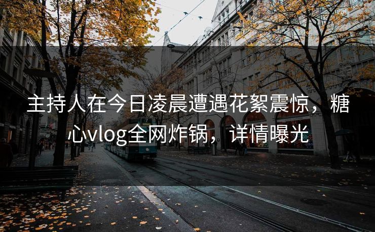 主持人在今日凌晨遭遇花絮震惊，糖心vlog全网炸锅，详情曝光