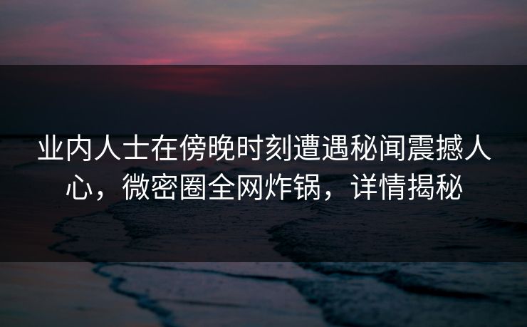 业内人士在傍晚时刻遭遇秘闻震撼人心，微密圈全网炸锅，详情揭秘